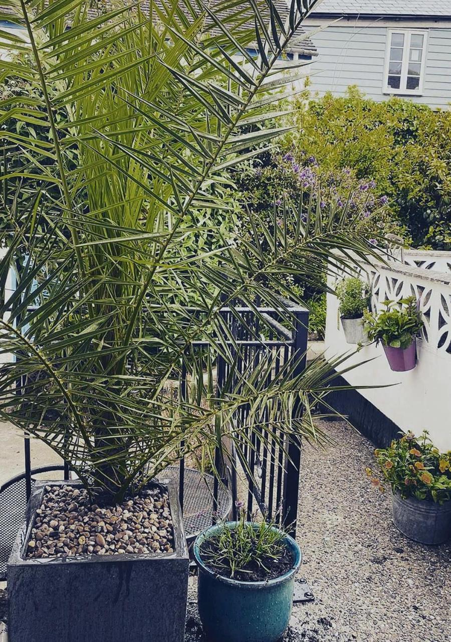 Sea Shanty Cottage Newlyn Exterior photo